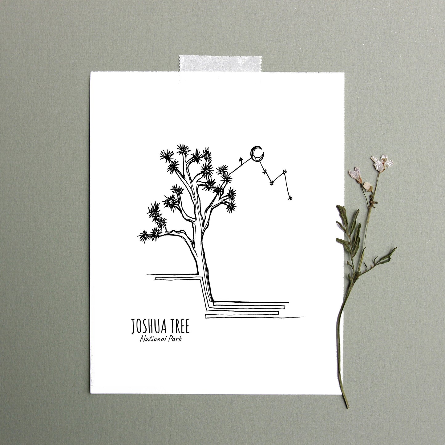 Joshua Tree National Park, California Continuous Line Print