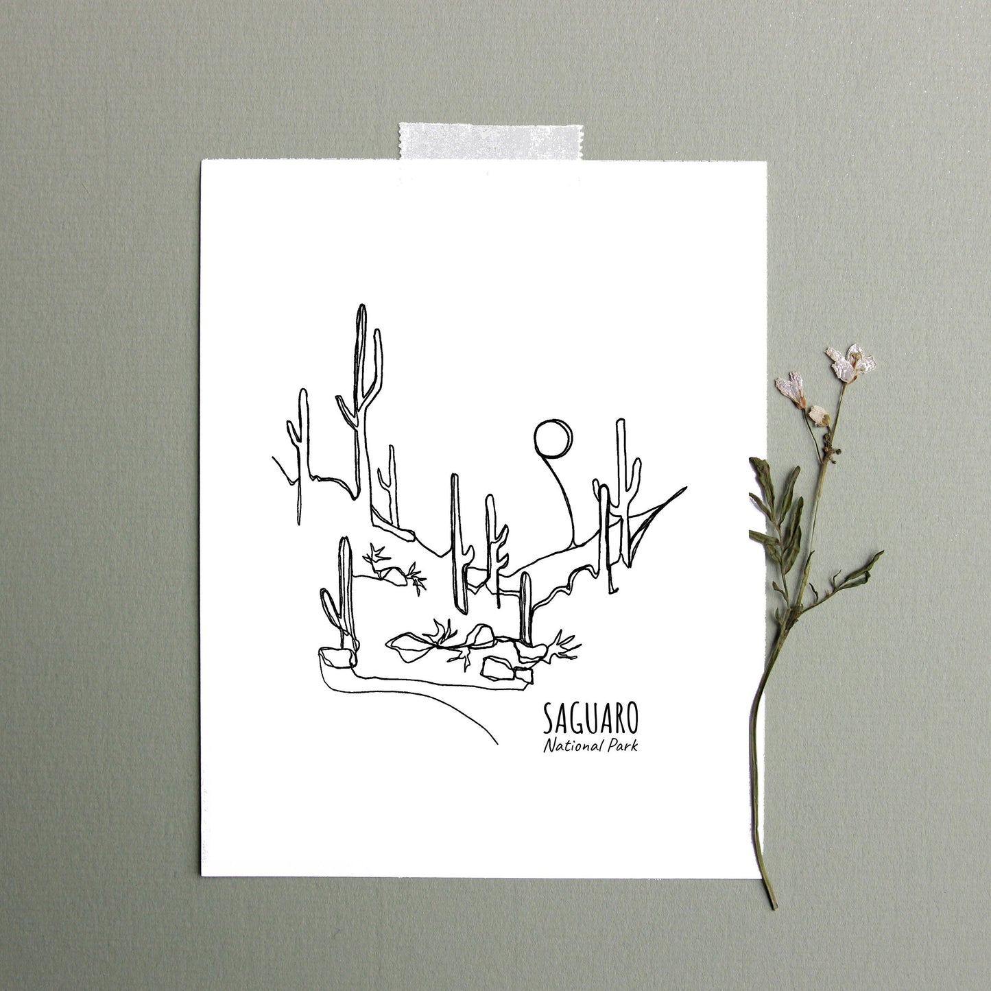 Saguaro National Park, Arizona Continuous Line Print