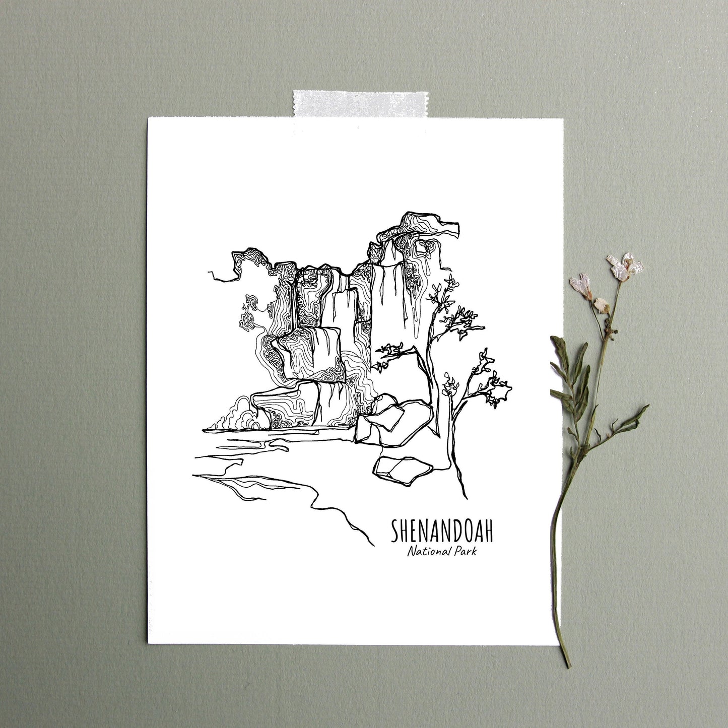 Shenandoah National Park, Virginia Continuous Line Print
