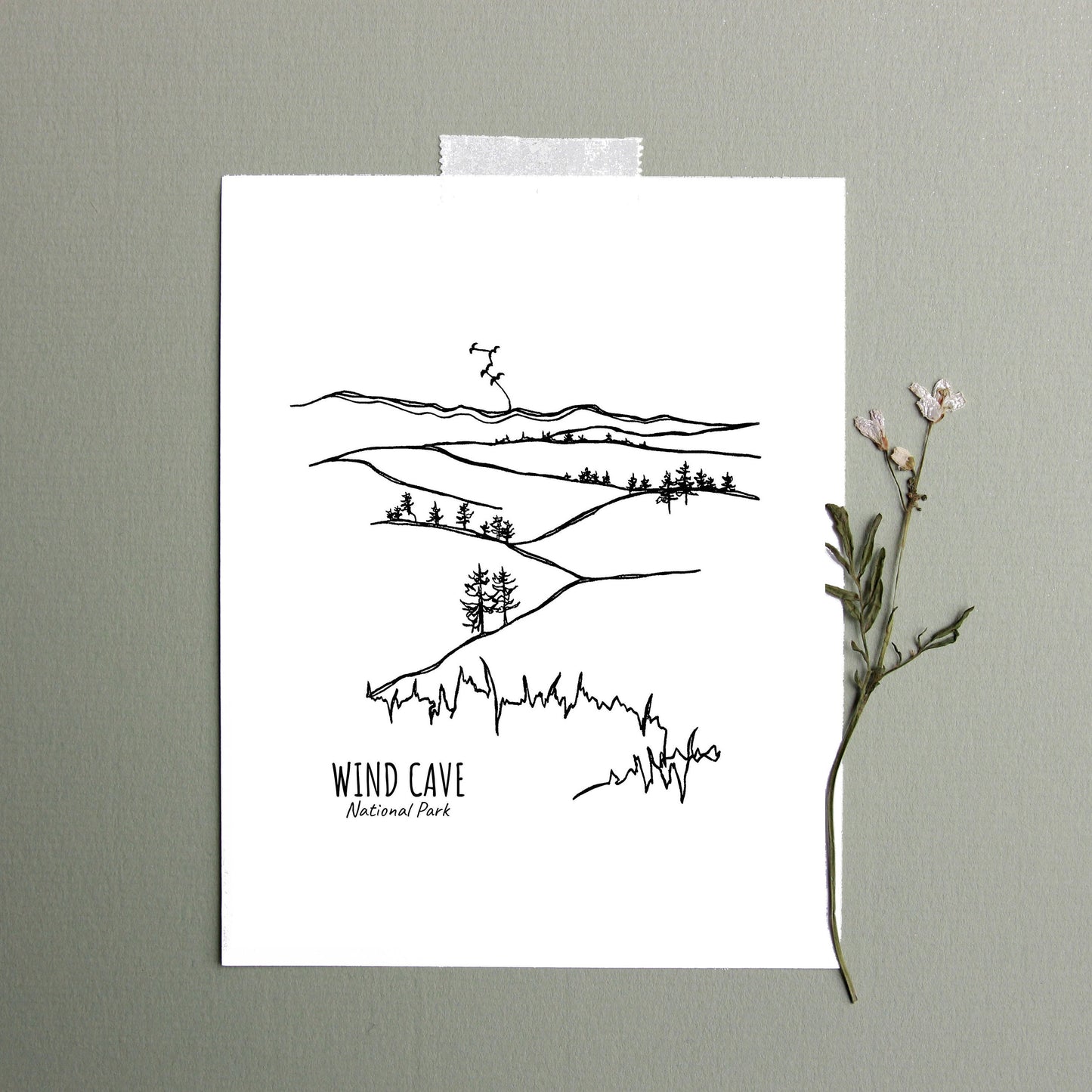 Wind Cave National Park, South Dakota Continuous Line Print