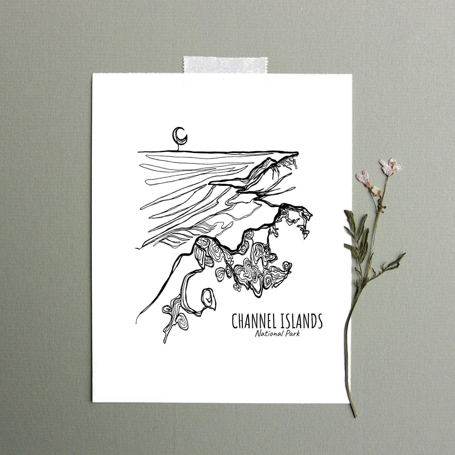 Channel Islands National Park, California Continuous Line Print