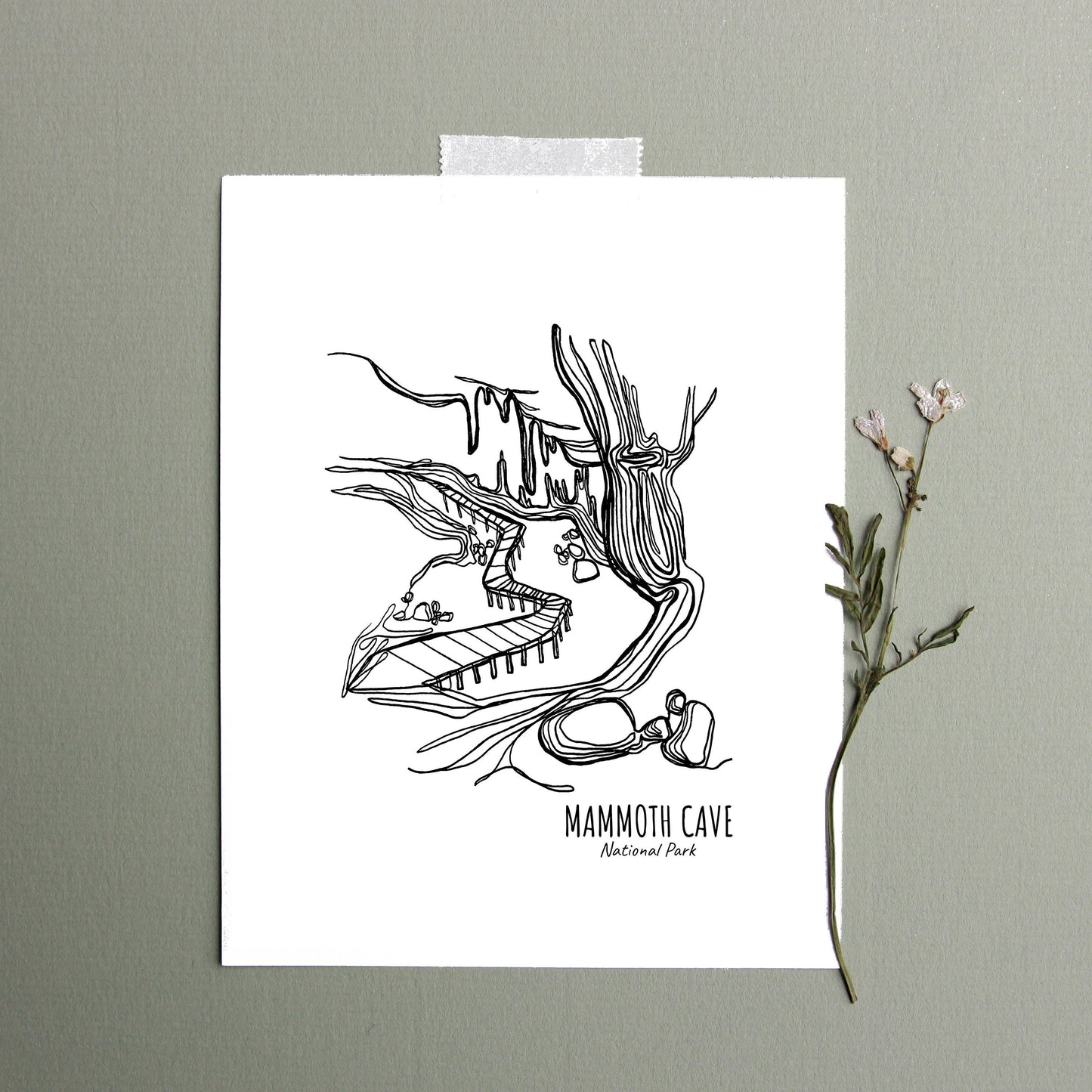 Mammoth Cave National Park, Kentucky Continuous Line Print