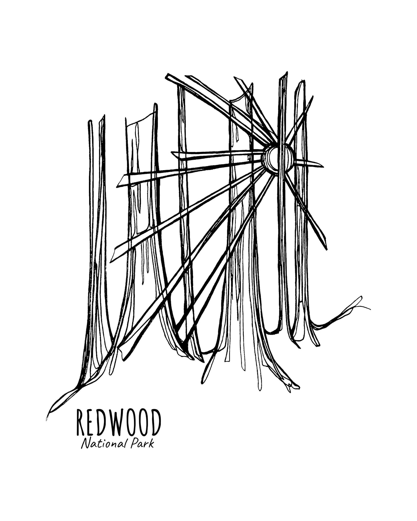 Redwood National Park, California Continuous Line Print