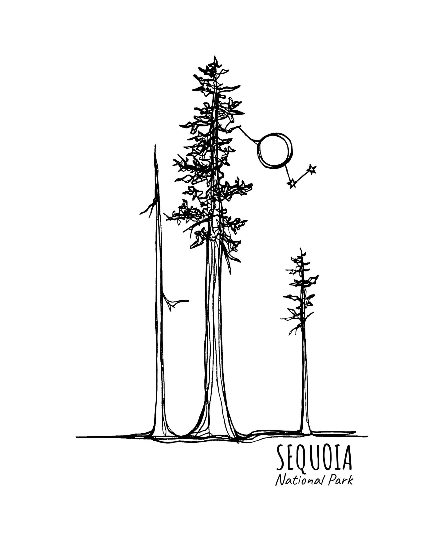Sequoia National Park, California Continuous Line Print