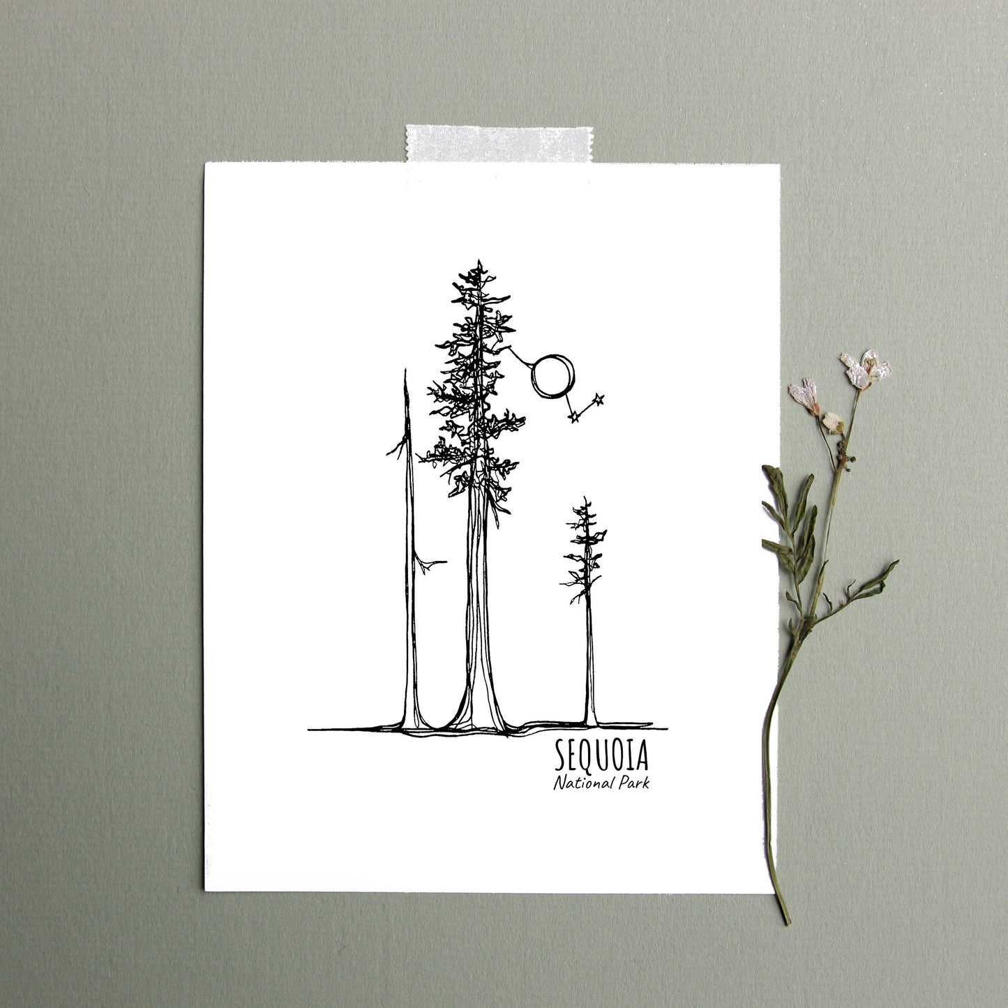 Sequoia National Park, California Continuous Line Print