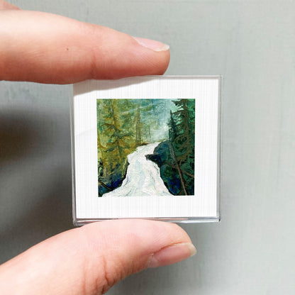 A person's hand holding a small square picture of a forest scene with a winding path.