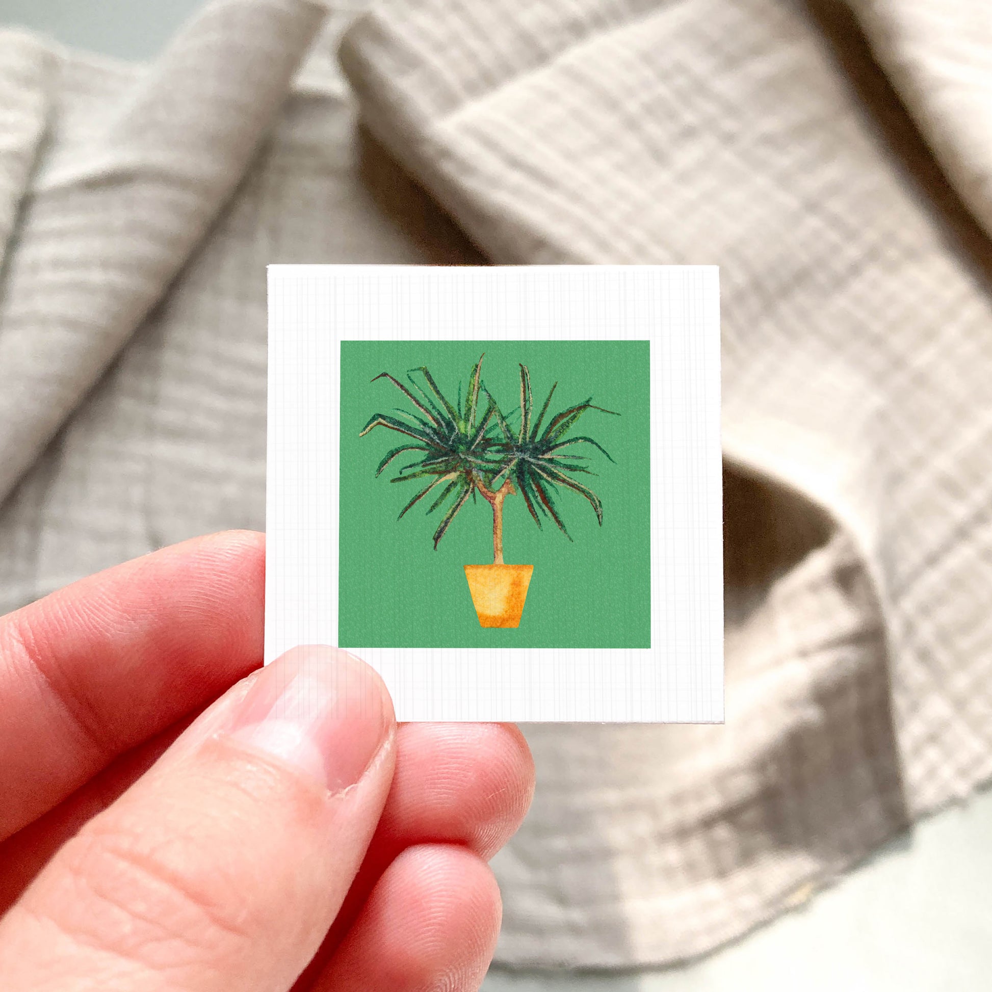 A hand is holding a small square card with a picture of a potted plant on it.