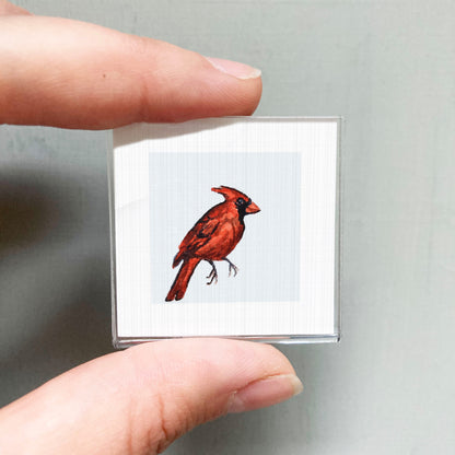 A person's hand is holding a small square picture of a red cardinal bird.