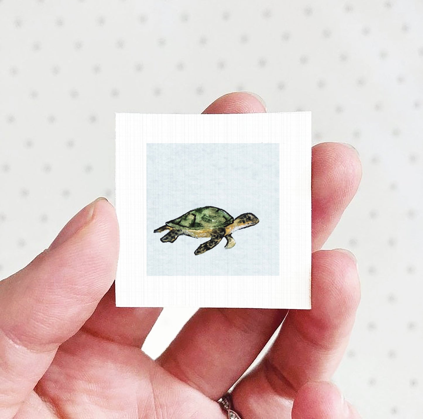A person's hand holding a small square picture of a turtle.