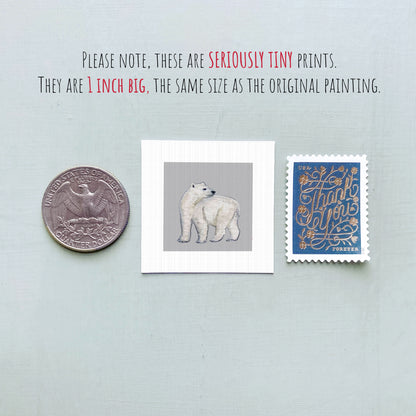 three small items: a quarter, a polar bear illustration, and a postage stamp.