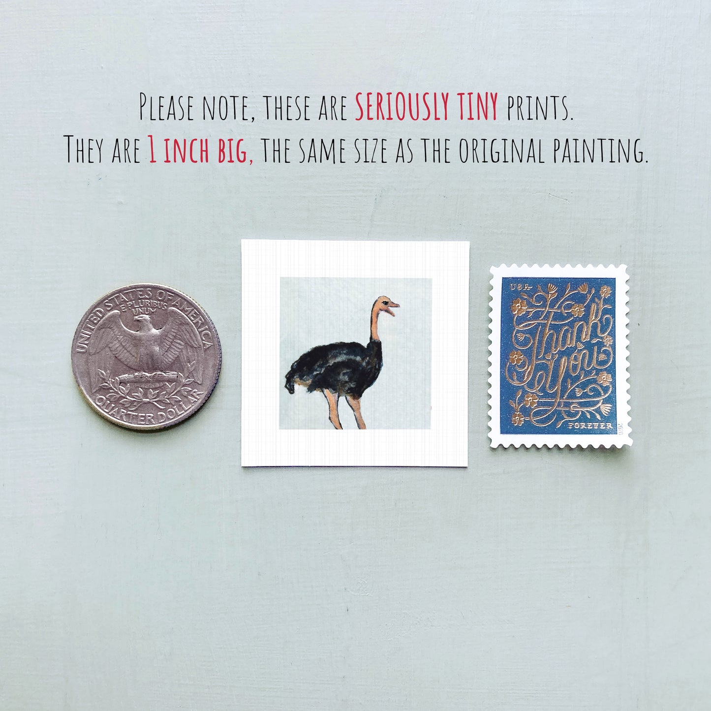 a collection of three small items: a quarter, a postage stamp, and a painting of an ostrich.