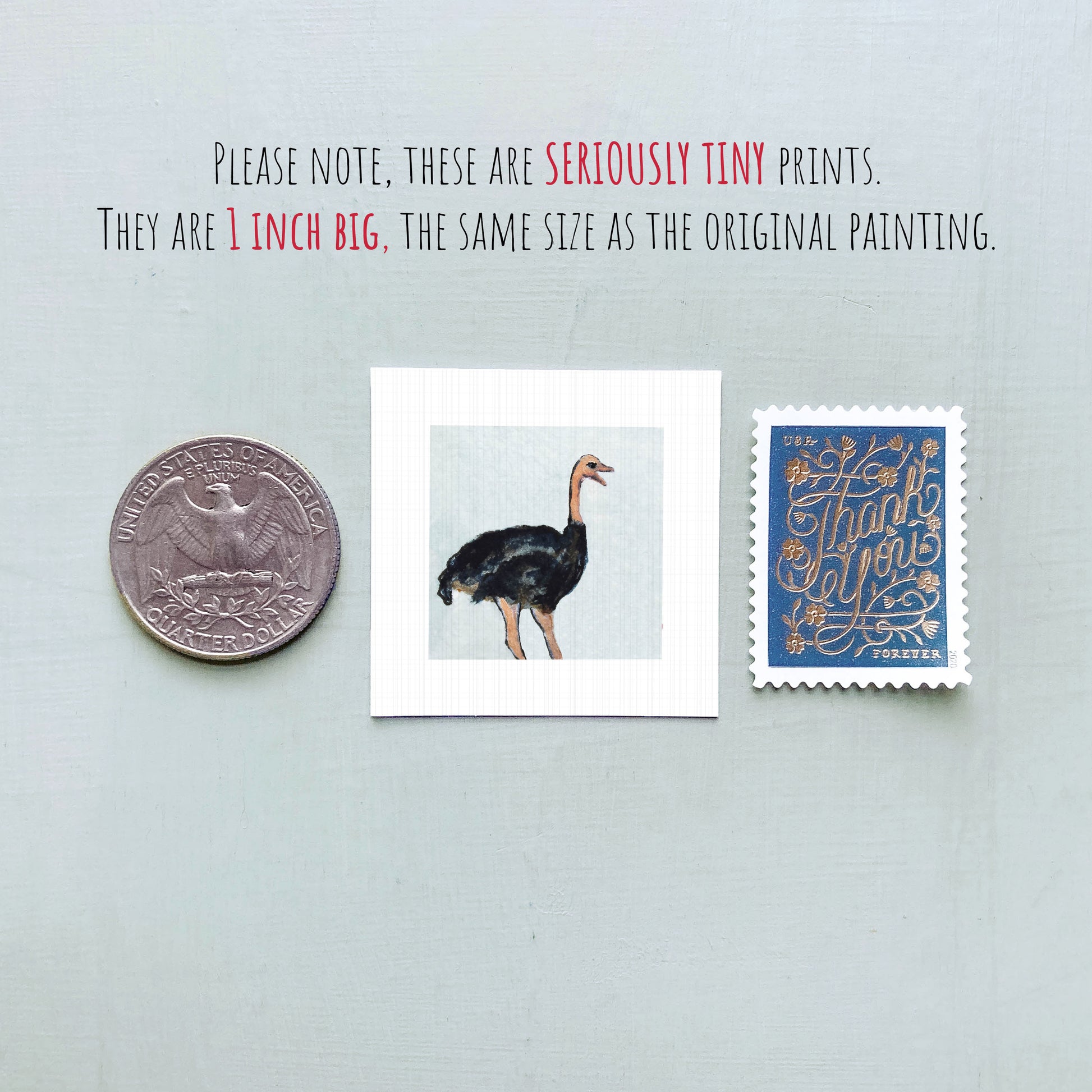 a collection of three small items: a quarter, a postage stamp, and a painting of an ostrich.