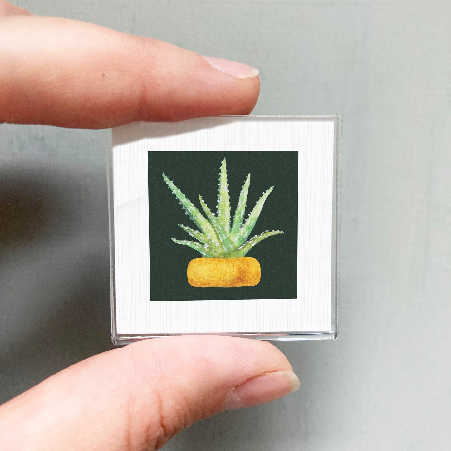 A person's hand holding a small square picture of a cactus plant in a yellow pot.