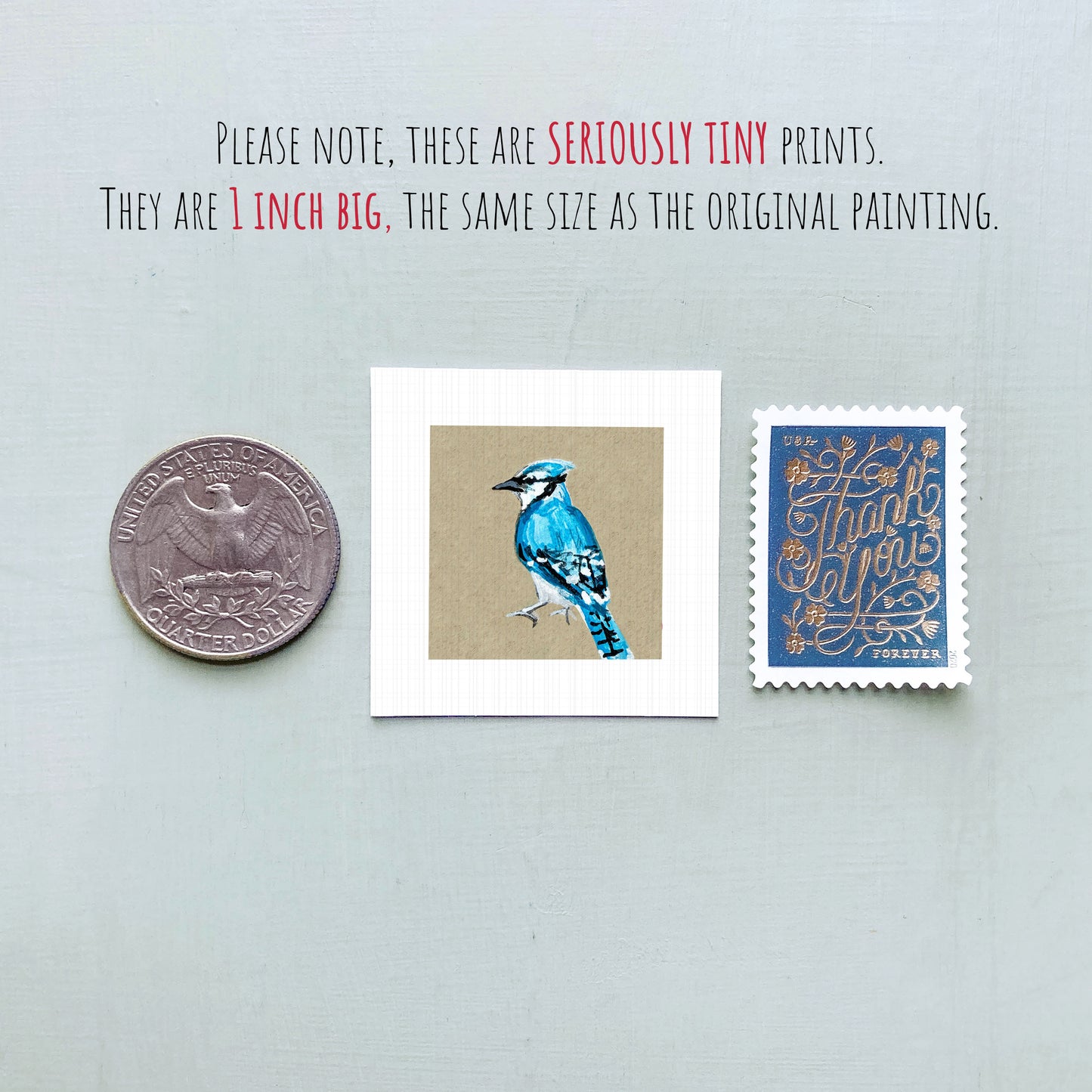 a collection of three small items: a quarter, a postage stamp, and a painting of a blue jay.