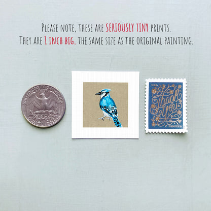 a collection of three small items: a quarter, a postage stamp, and a painting of a blue jay.