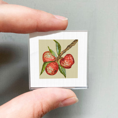 A person's hand holding a small square picture of a branch with red fruit on it.