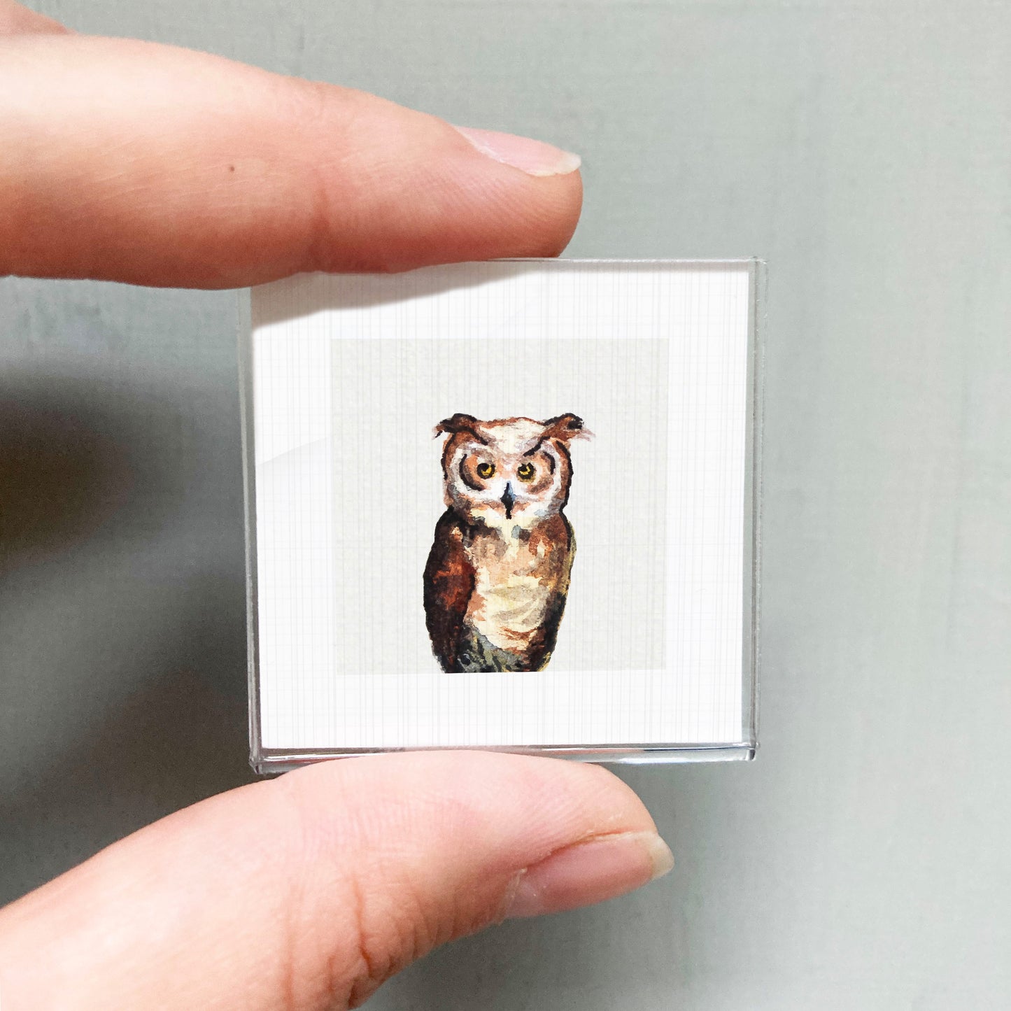 A person's hand is holding a small square picture of an owl.