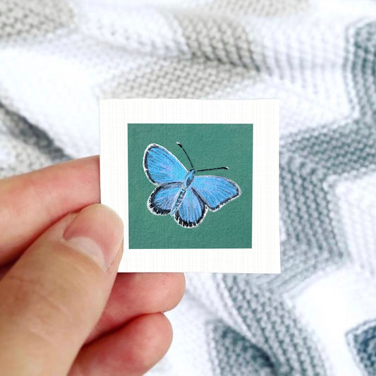 A hand is holding a small square card with a blue butterfly illustration on it.