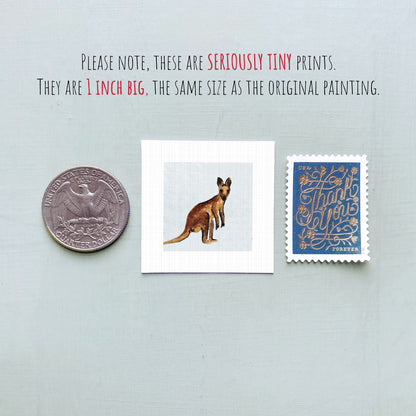 a collection of three small items: a quarter, a kangaroo print, and a postage stamp.
