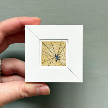 A hand is holding a small white square frame containing a detailed illustration of a spider on a web.