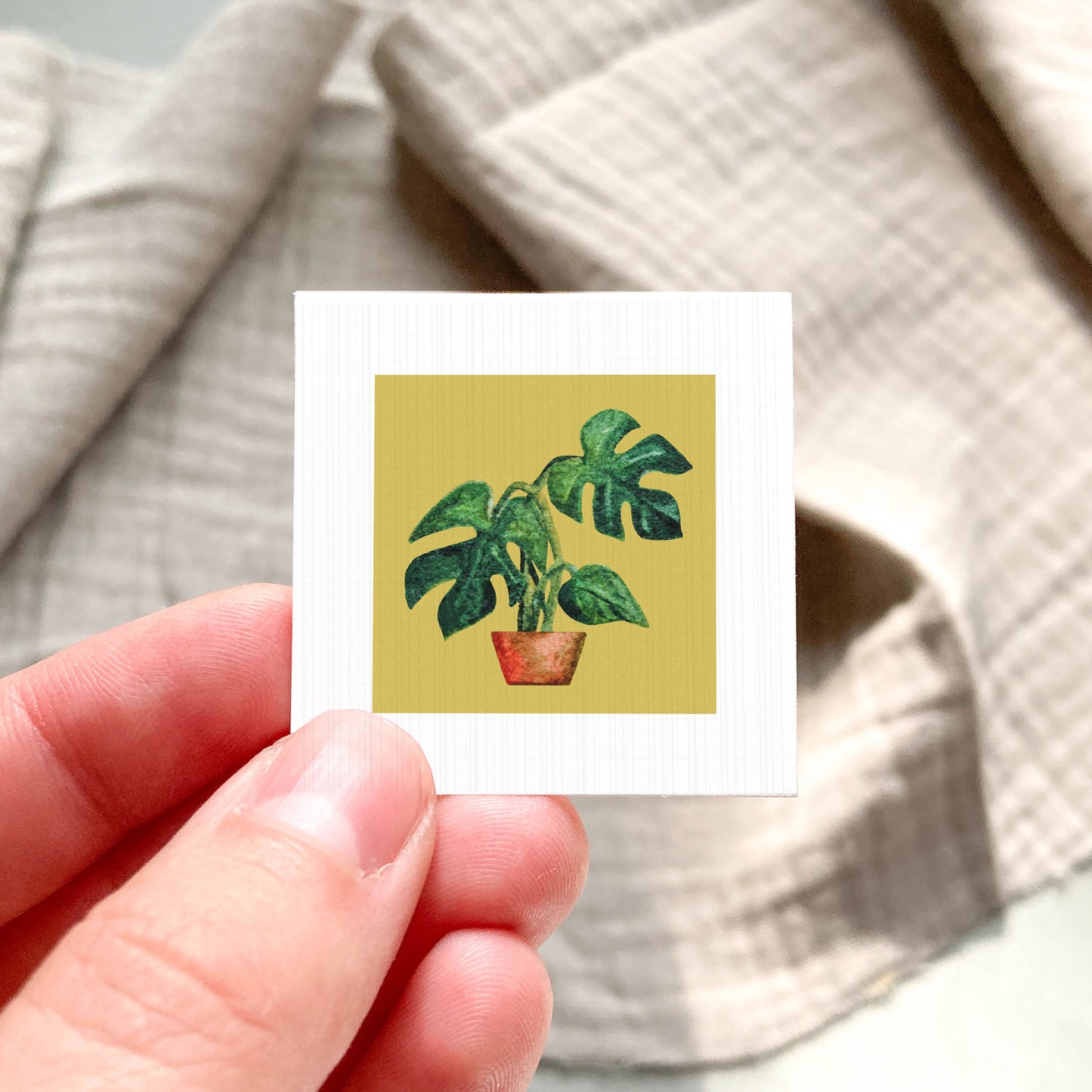 A hand is holding a small square card with a picture of a potted plant on it.