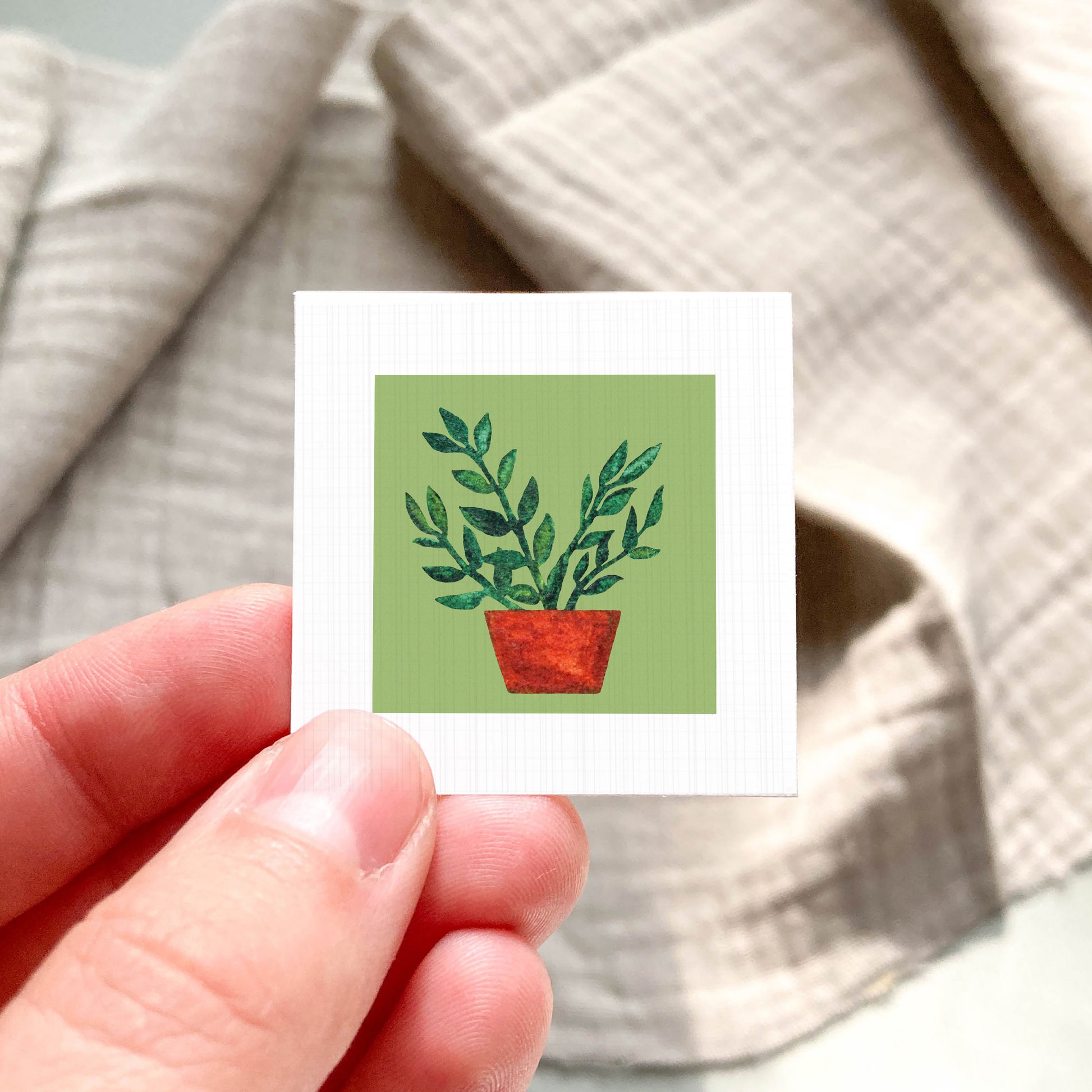 A hand is holding a small square card with a picture of a potted plant on it.