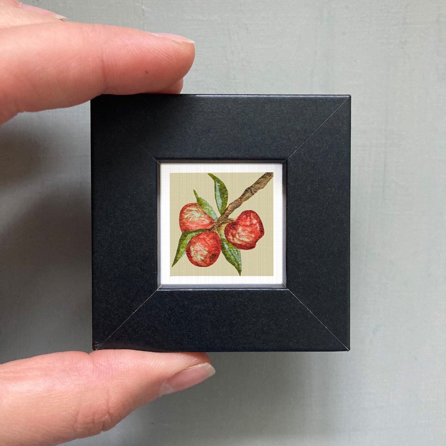 A person's hand holding a small black square frame containing a framed illustration of a peach with green leaves.