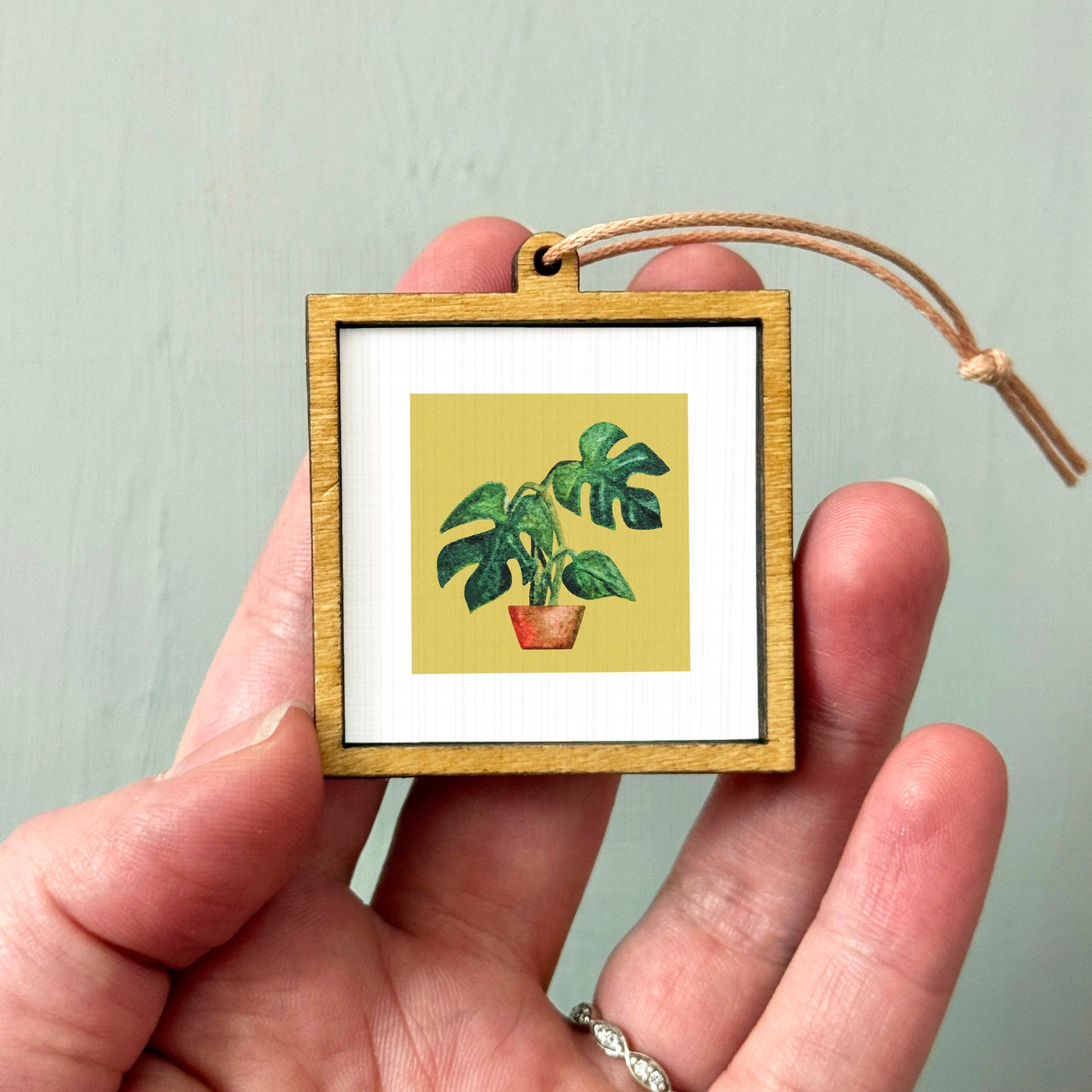 A hand holding a small wooden frame containing a framed image of a potted plant.