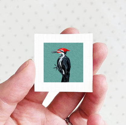 A hand holding a small square picture of a black and white woodpecker against a teal background.