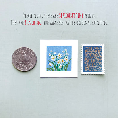 Mini 1" Narcissus December Birth Flower Art PRINT