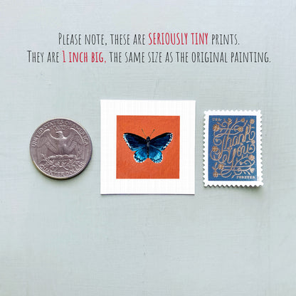a collection of three small items: a silver coin, a white square with an orange background featuring a blue butterfly, and a blue postage stamp with gold lettering.