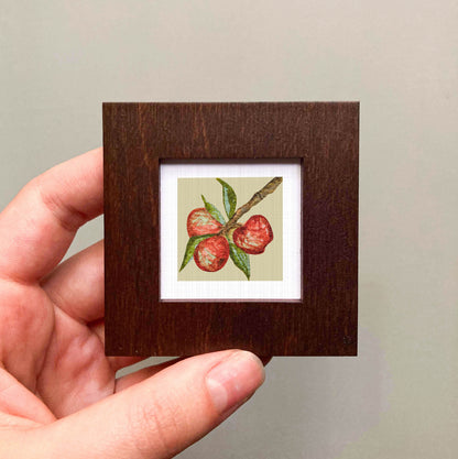 A hand is holding a small wooden frame containing a framed illustration of a peach on a branch.