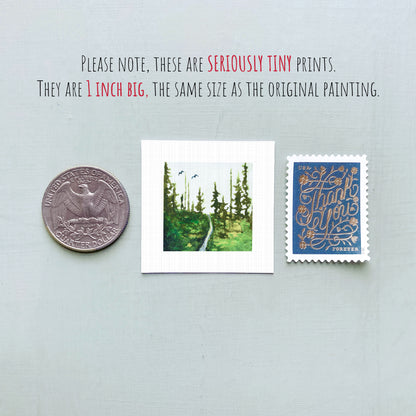 three small prints: a quarter, a landscape print, and a postage stamp.