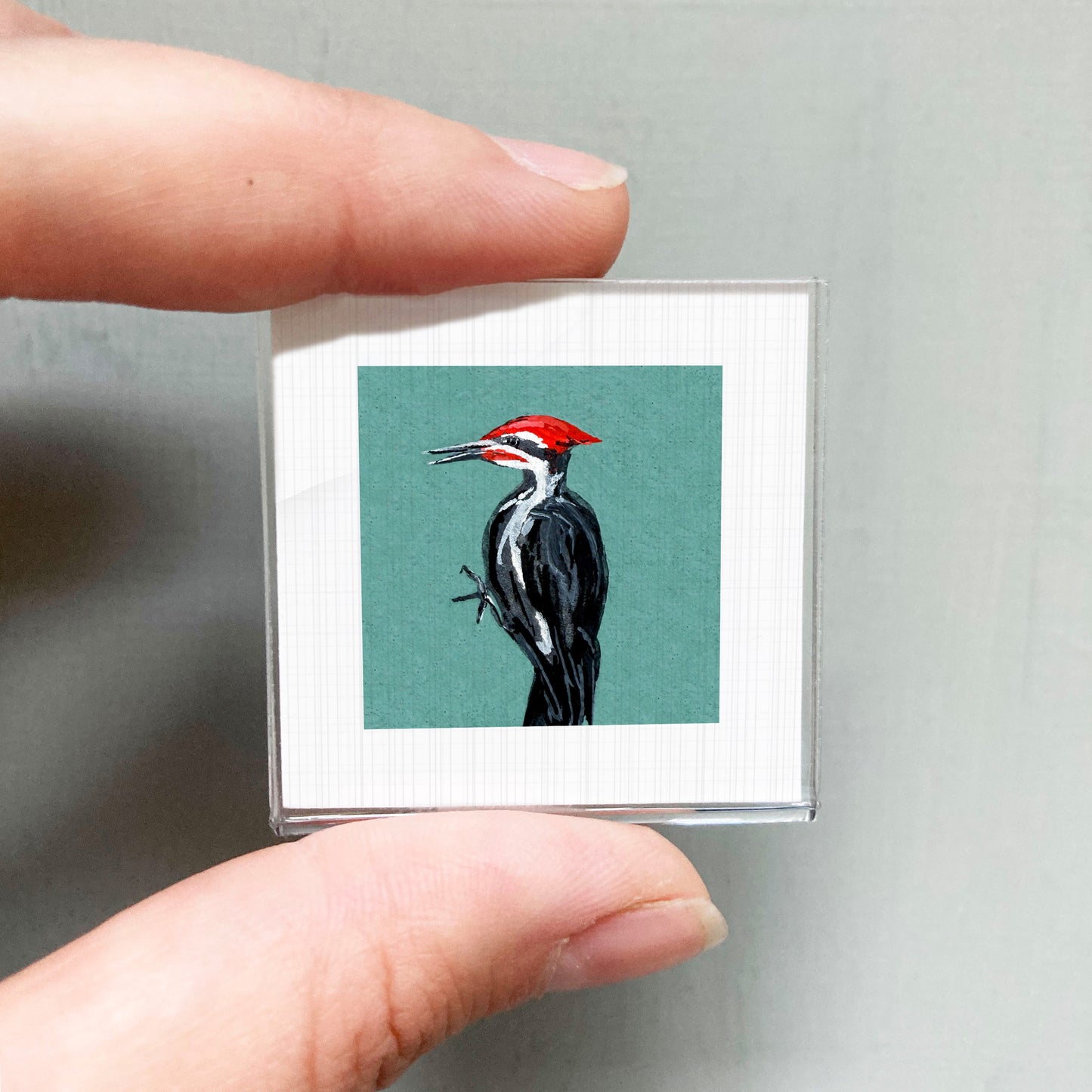 A person's hand is holding a small square picture of a woodpecker against a green background.
