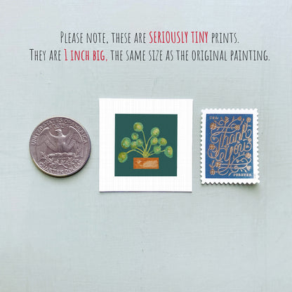 three small prints: a quarter, a square print with a plant illustration, and a postage stamp.