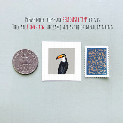a small, 1-inch-big print of a toucan, a 1-inch-big coin, and a 1-inch-big postage stamp.