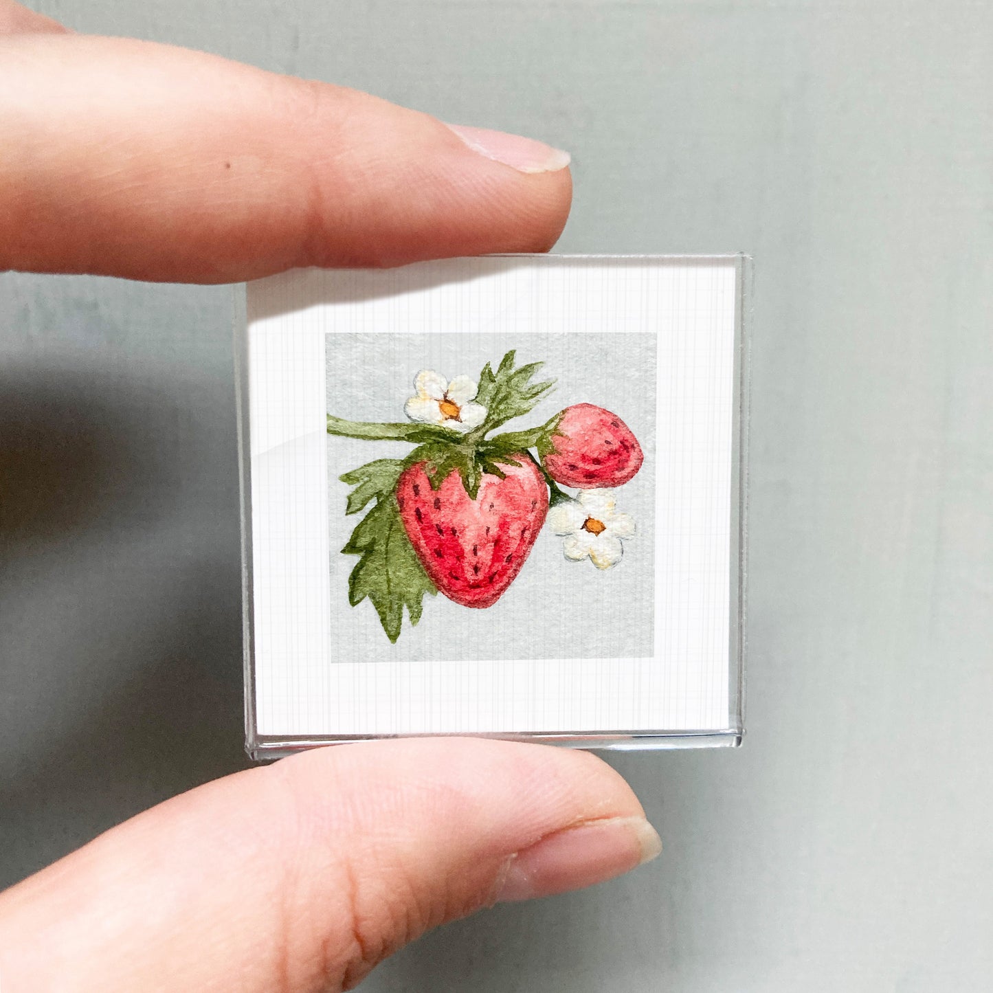 A person's hand holding a small square picture of a strawberry with white flowers.