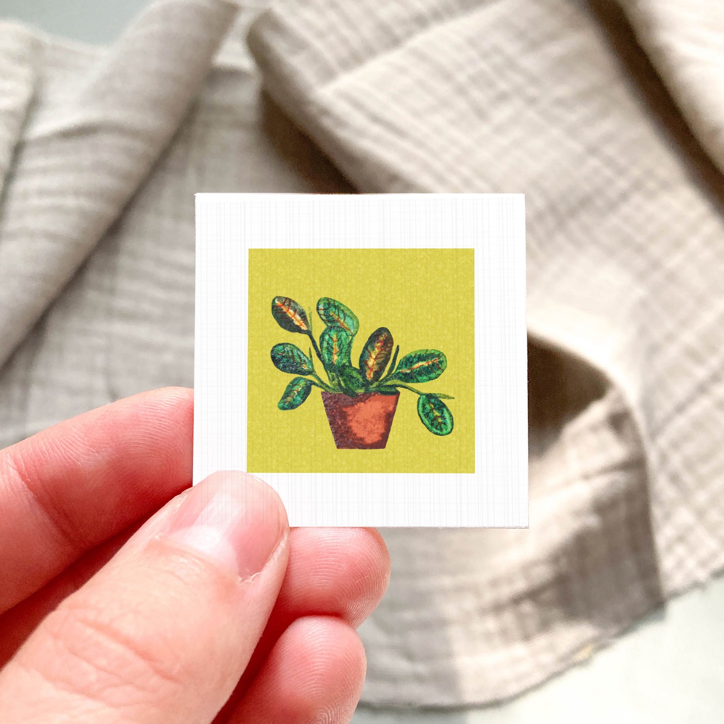 A hand is holding a small square card with a picture of a potted plant on it.
