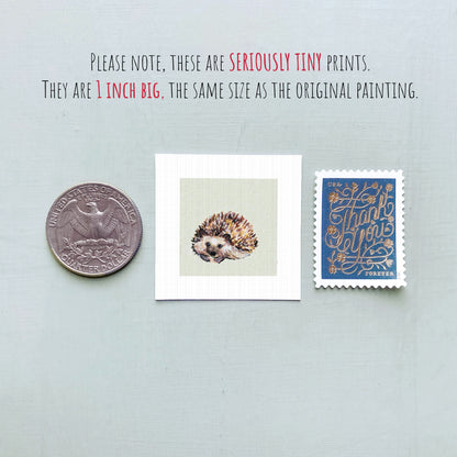 three small prints: a quarter, a square print of a hedgehog, and a postage stamp.