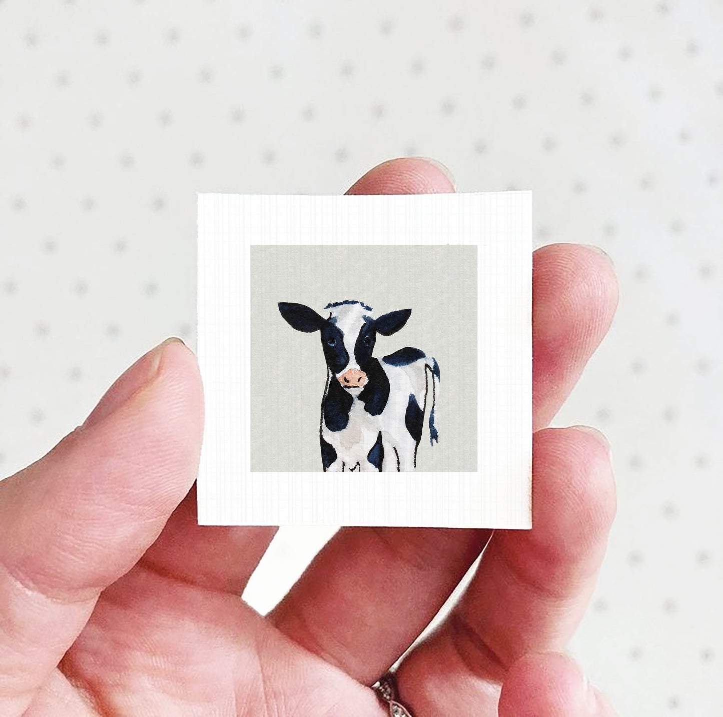 A hand holding a small square picture of a black and white cow.