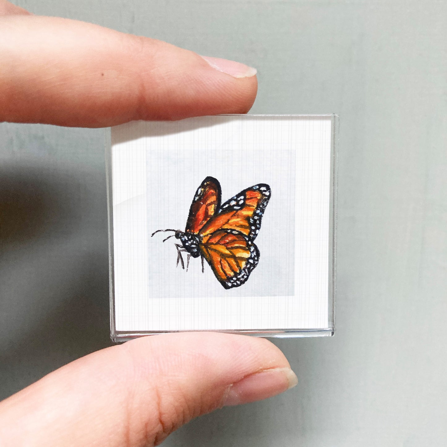 A person's hand is holding a small square picture of a colorful butterfly.