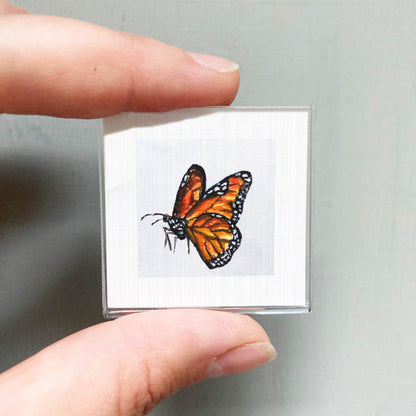 A person's hand is holding a small square picture of a colorful butterfly.