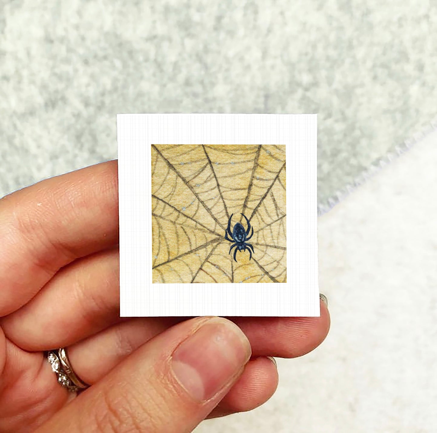 A person's hand holding a small square picture depicting a spider on a web.
