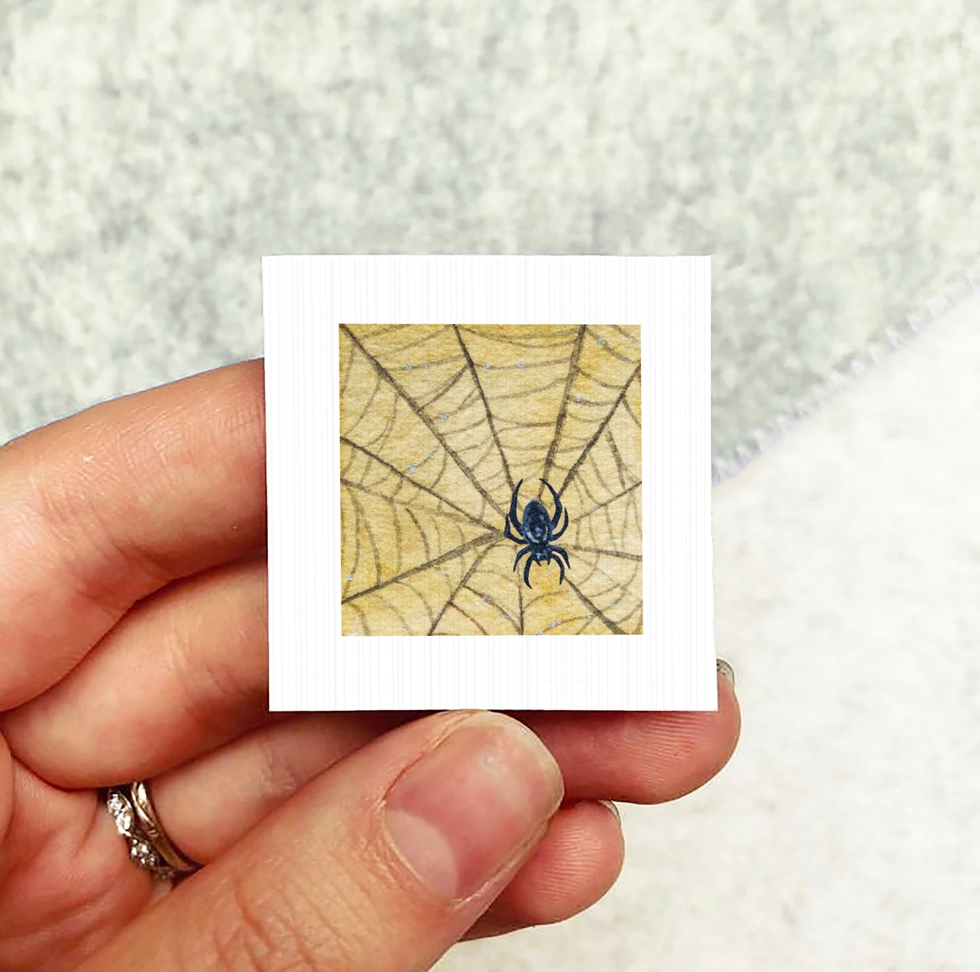 A person's hand holding a small square picture depicting a spider on a web.