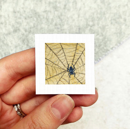 A person's hand holding a small square picture depicting a spider on a web.