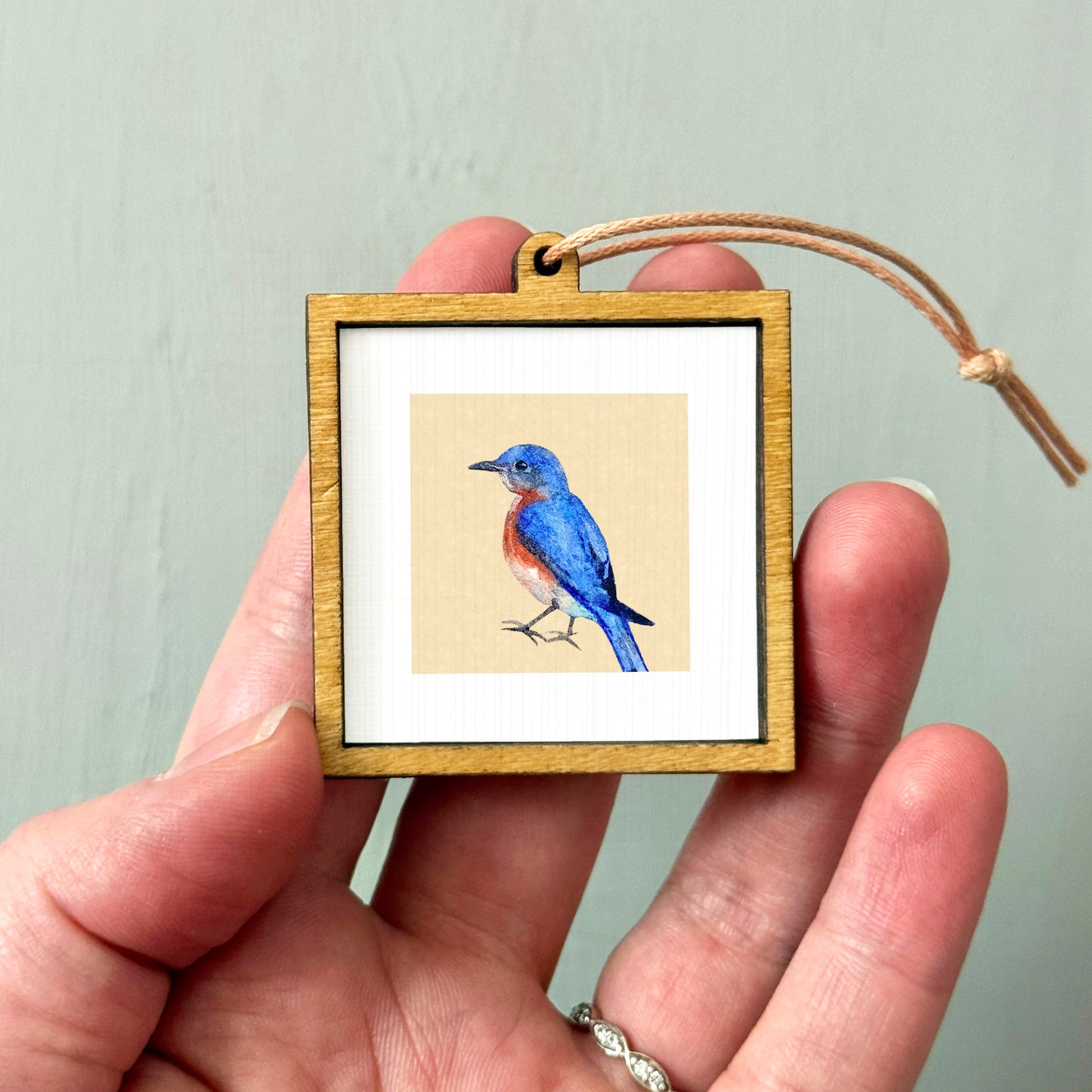 A hand holding a small wooden frame containing a framed image of a blue bird.