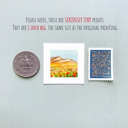 three small prints: a quarter, a square print of a mountain landscape, and a blue postage stamp with gold lettering.