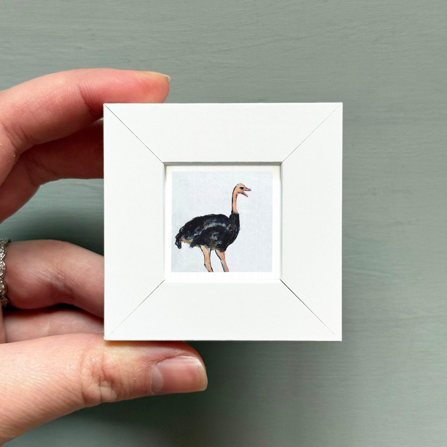 A person's hand is holding a small white square frame containing a picture of an ostrich.