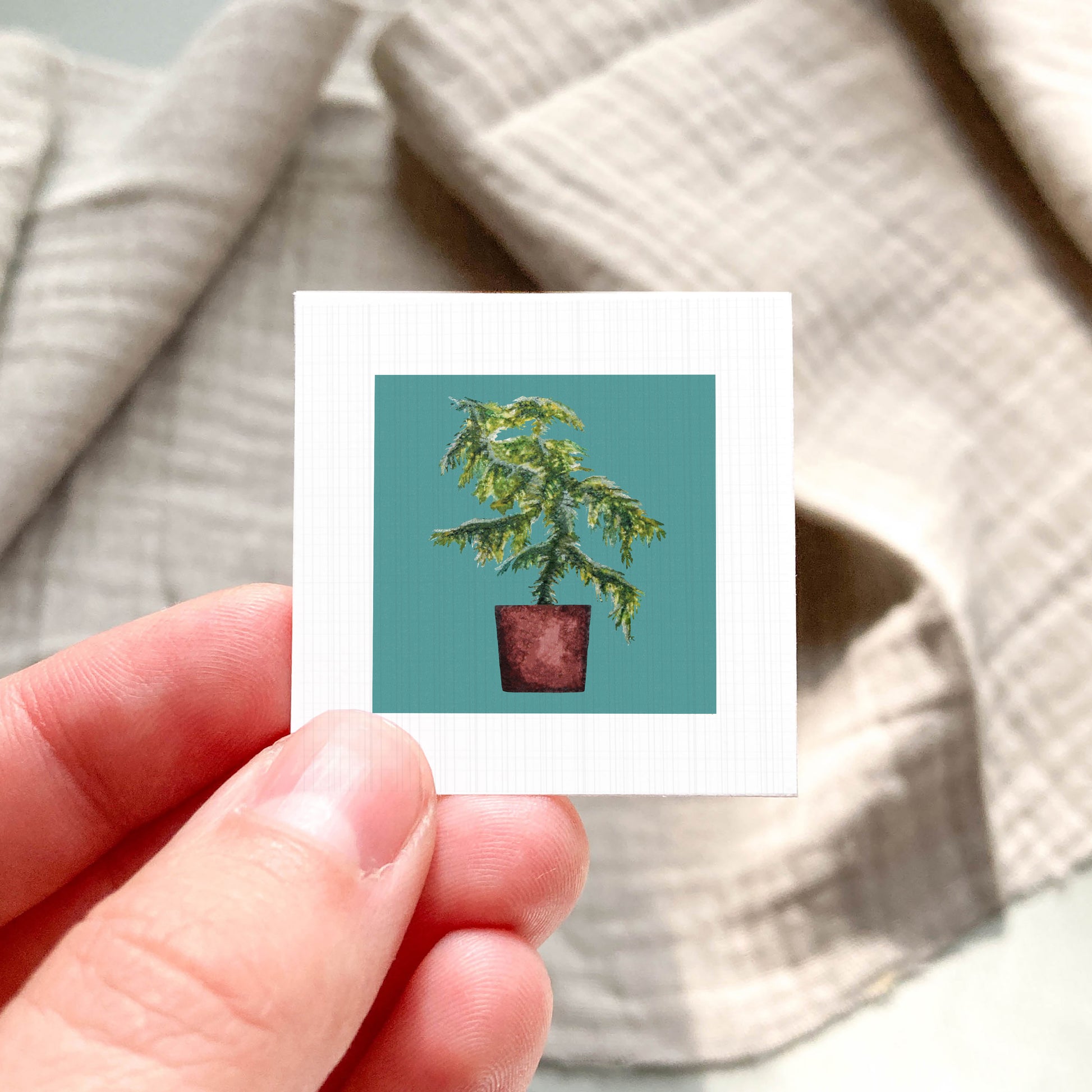 A hand is holding a small square card with a picture of a potted plant on it.