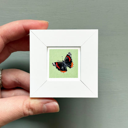 A hand is holding a small white frame containing a picture of a butterfly.
